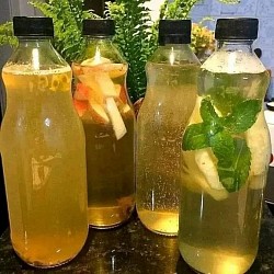 YEAST INFECTION HERBS