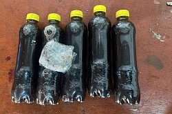 HUMAN PAPILLOMA VIRUS HERBS